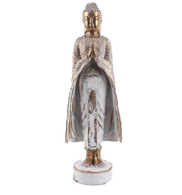 Buda Sutil Alba