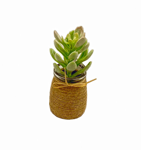 Esencia Verde