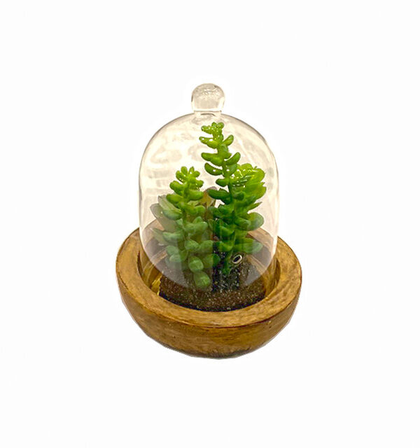 Natura Élite
