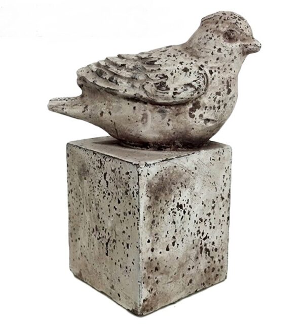 Pluma Celestial