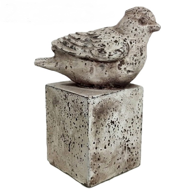 Pluma Celestial
