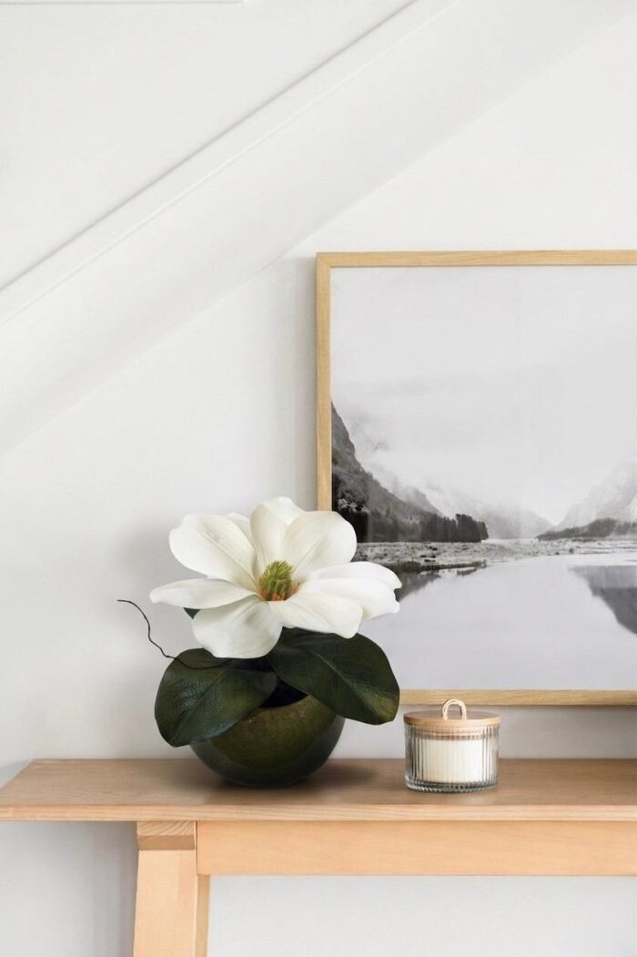 Aura Natural