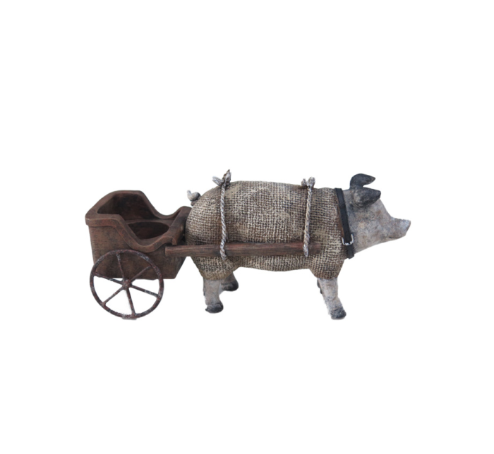Cerdito del Campo